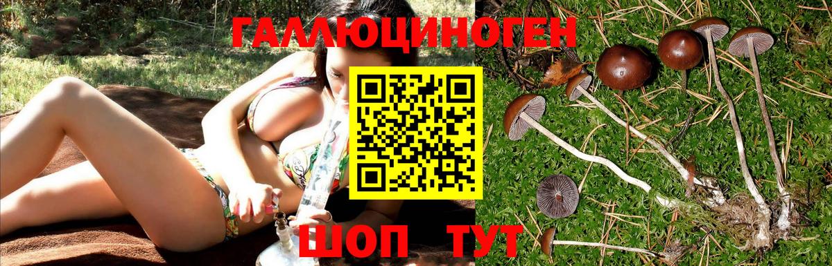 Галлюциногенные грибы GOLDEN TEACHER Жуковский