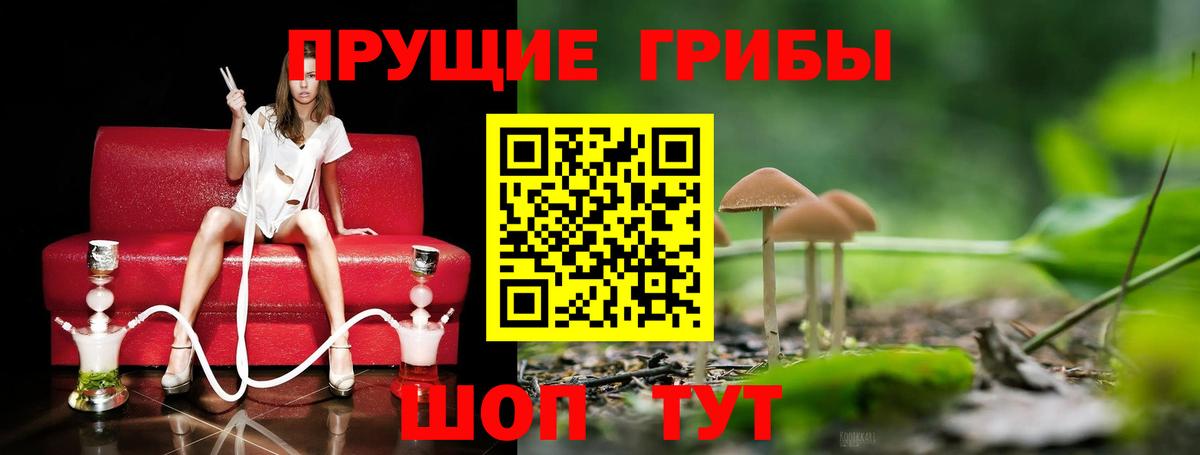 Галлюциногенные грибы Cubensis  Вход с VPN  Жуковский 